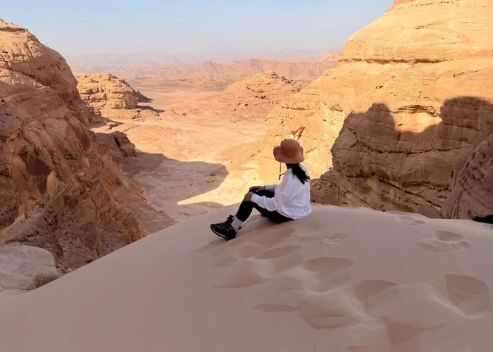 Wadisea